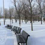 Jour 2 Parc Lafontaine