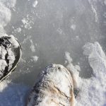 Oui, oui, c'est de la glace