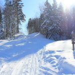 Chemin pour l'auberge