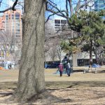 Promenade au parc