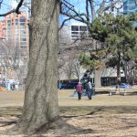 Promenade au parc