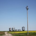 Grenier à canola