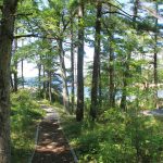 Sentier au bord de l'eau