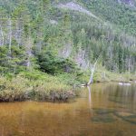 Lac aux américains