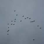 Le ciel bleu
