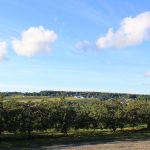 Vue de notre emplacement